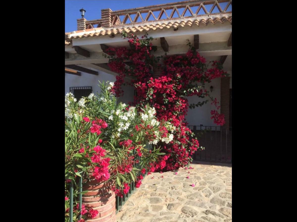 Periana Villa Zahar מראה חיצוני תמונה