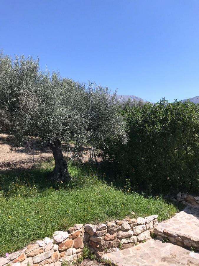Periana Villa Zahar מראה חיצוני תמונה