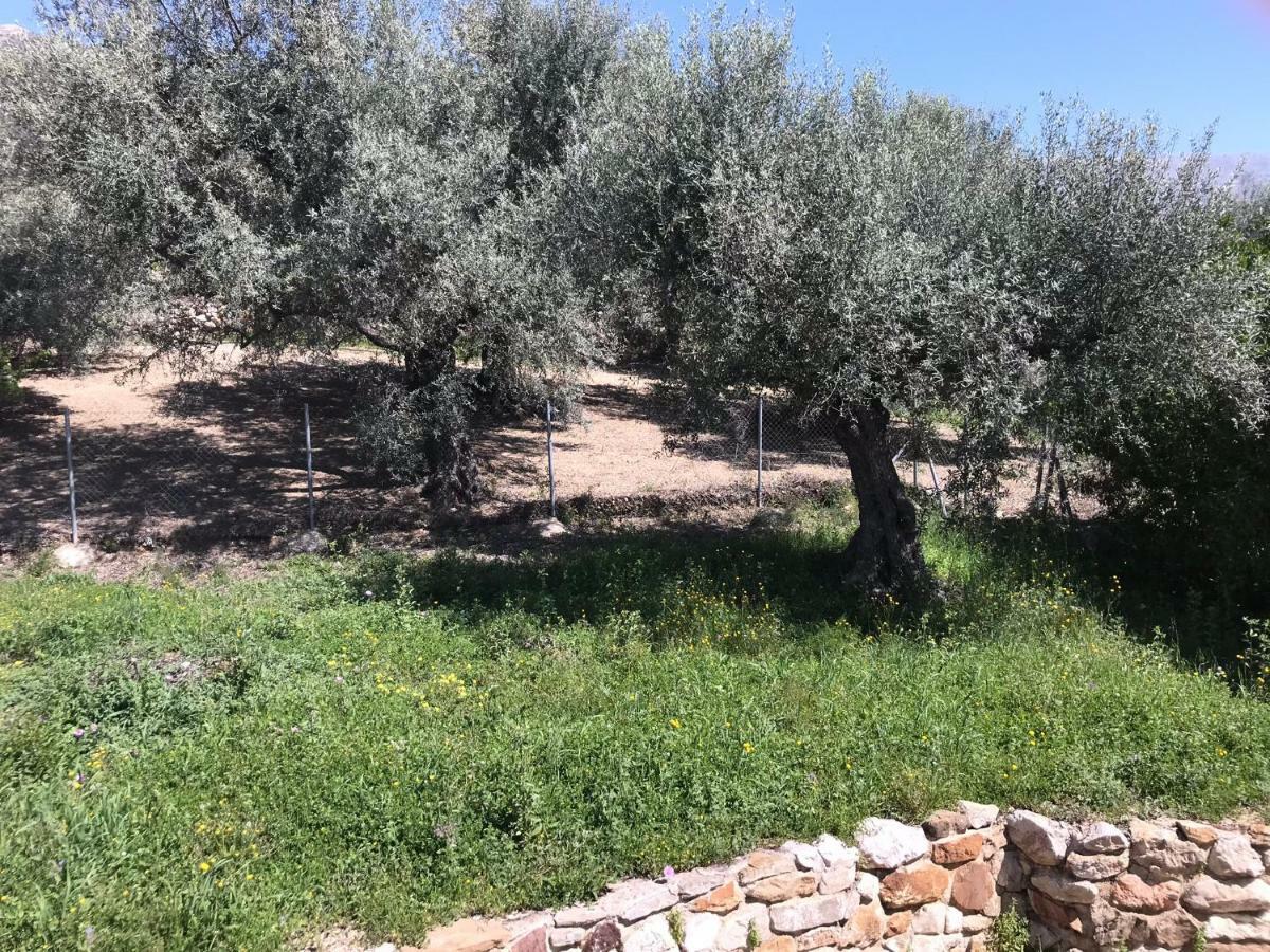Periana Villa Zahar מראה חיצוני תמונה